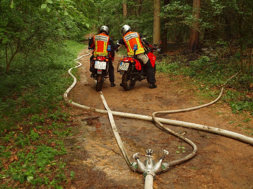 Waldbrand Bergisch Gladbach Bensberg P152.JPG